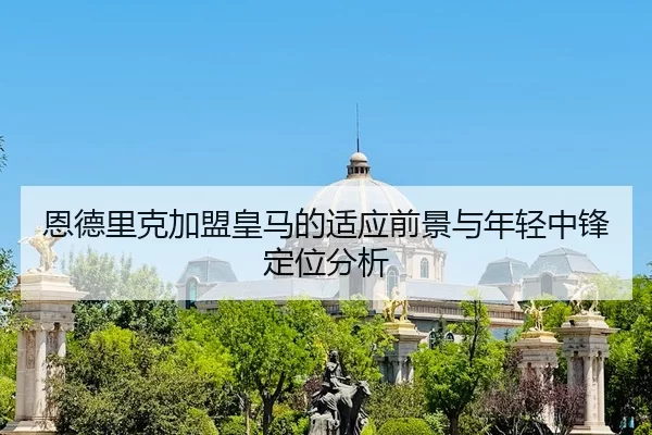 en-de-li-ke-jia-meng-huang-ma-de-shi-ying-qian-jing-yu-nian-qing-zhong-feng-ding-wei-fen-xi-2-684.jpg