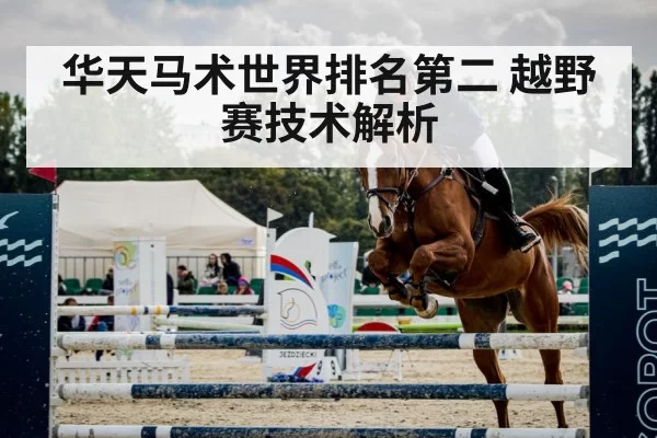 华天马术世界排名第二 越野赛技术解析